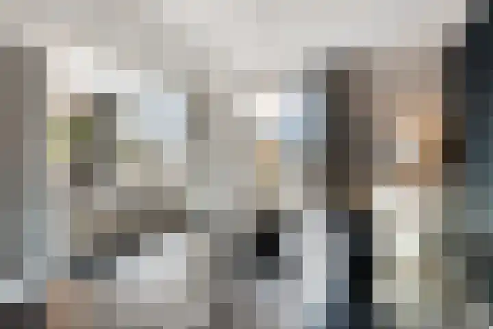 Professor Regoutstraat 97 Oss thumbnail 19