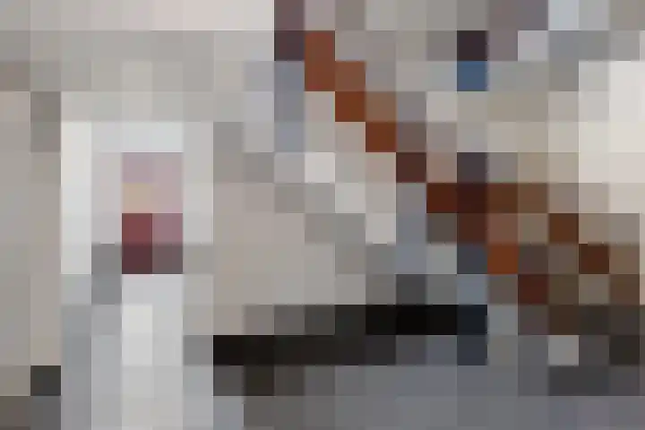 Professor Regoutstraat 97 Oss thumbnail 6