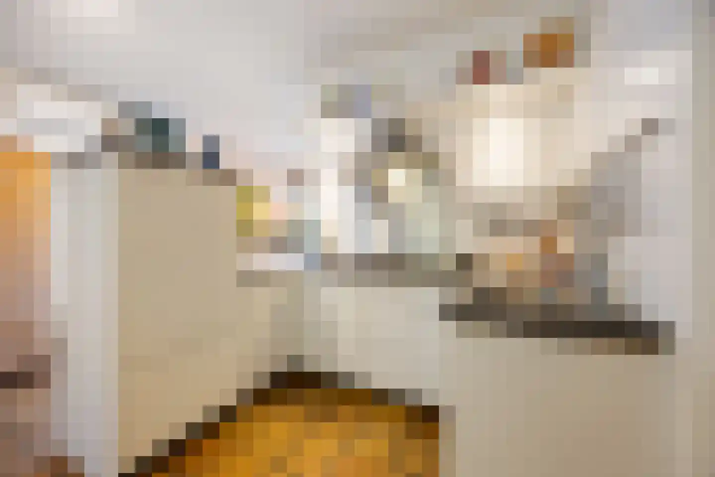 Professor Schlichtingstraat 5 Nijmegen thumbnail 11