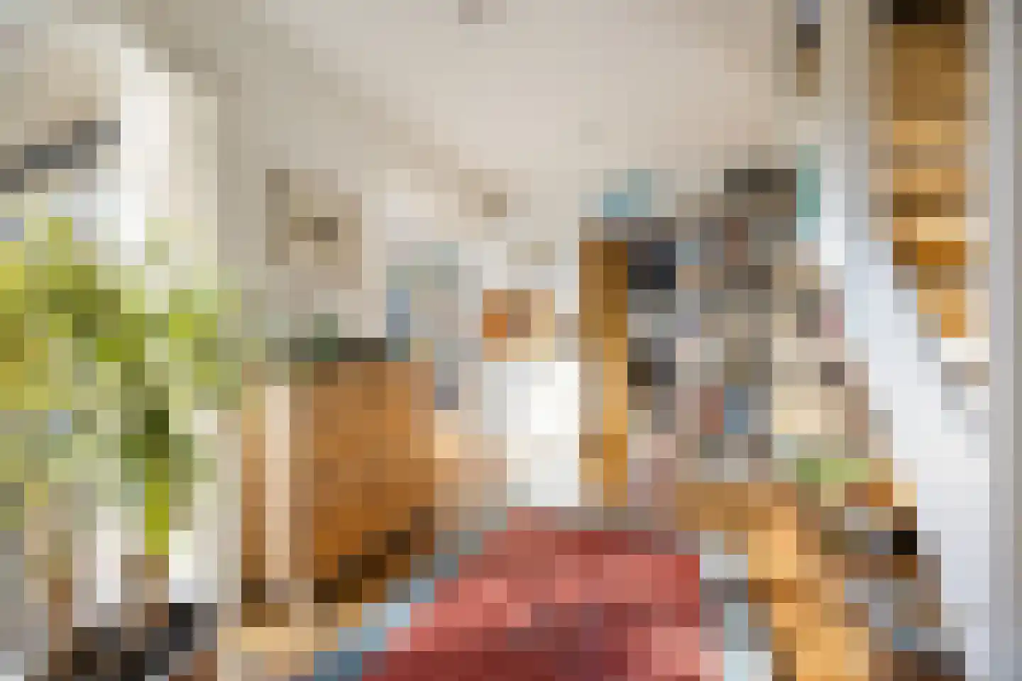 Professor Schlichtingstraat 5 Nijmegen thumbnail 18