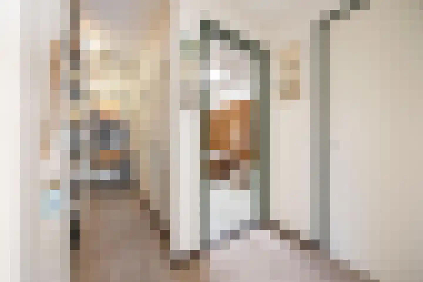 Professor Schlichtingstraat 5 Nijmegen thumbnail 19