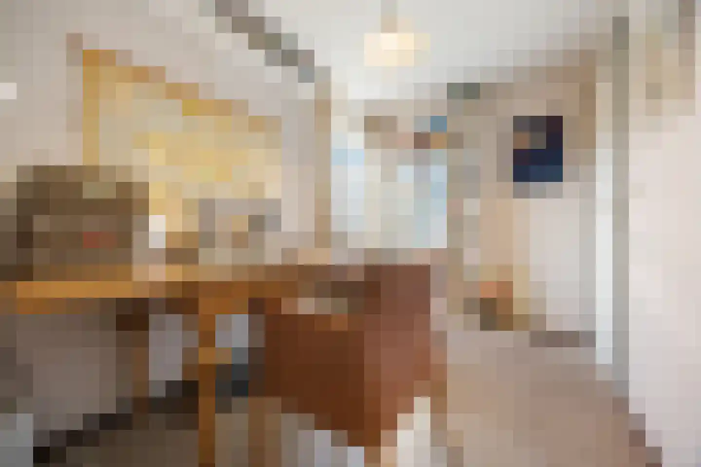 Professor Schlichtingstraat 5 Nijmegen thumbnail 21