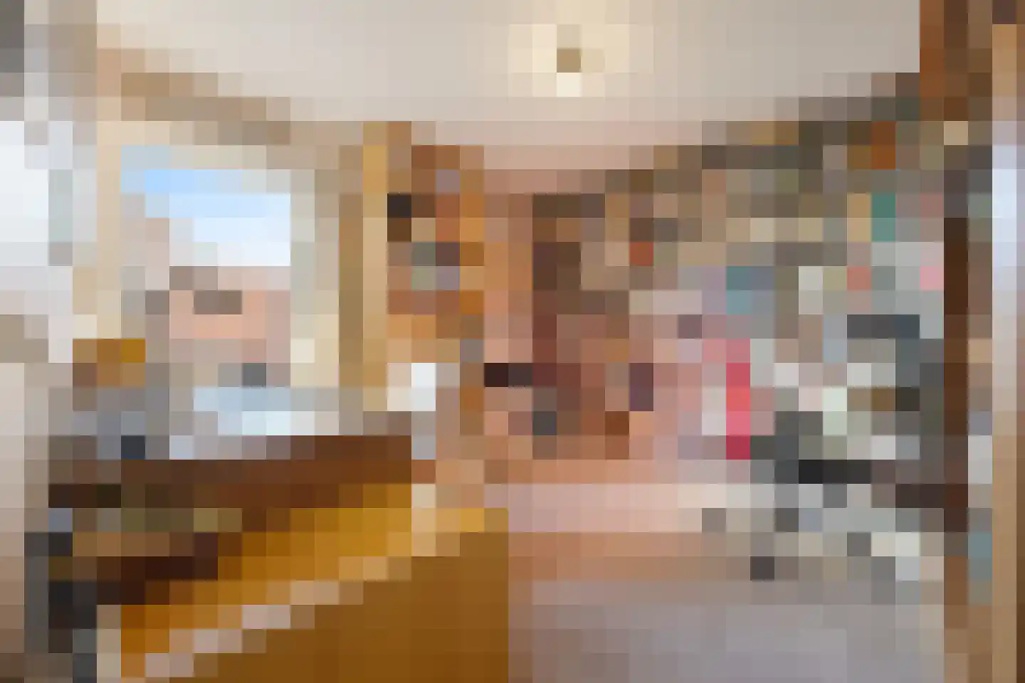 Professor Schlichtingstraat 5 Nijmegen thumbnail 23