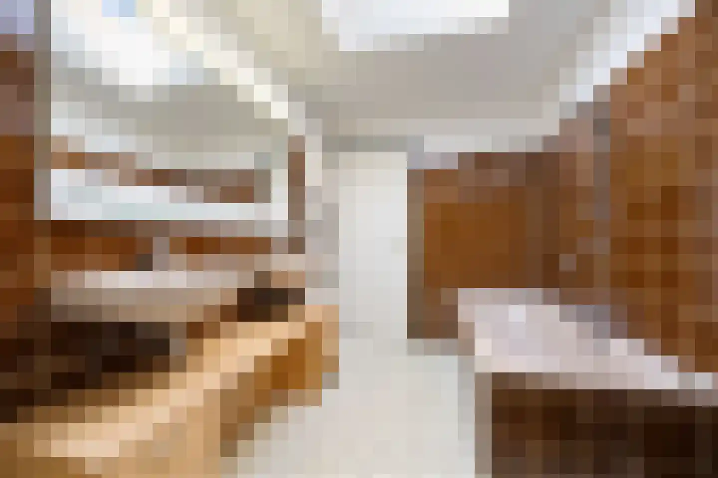 Professor Schlichtingstraat 5 Nijmegen thumbnail 25