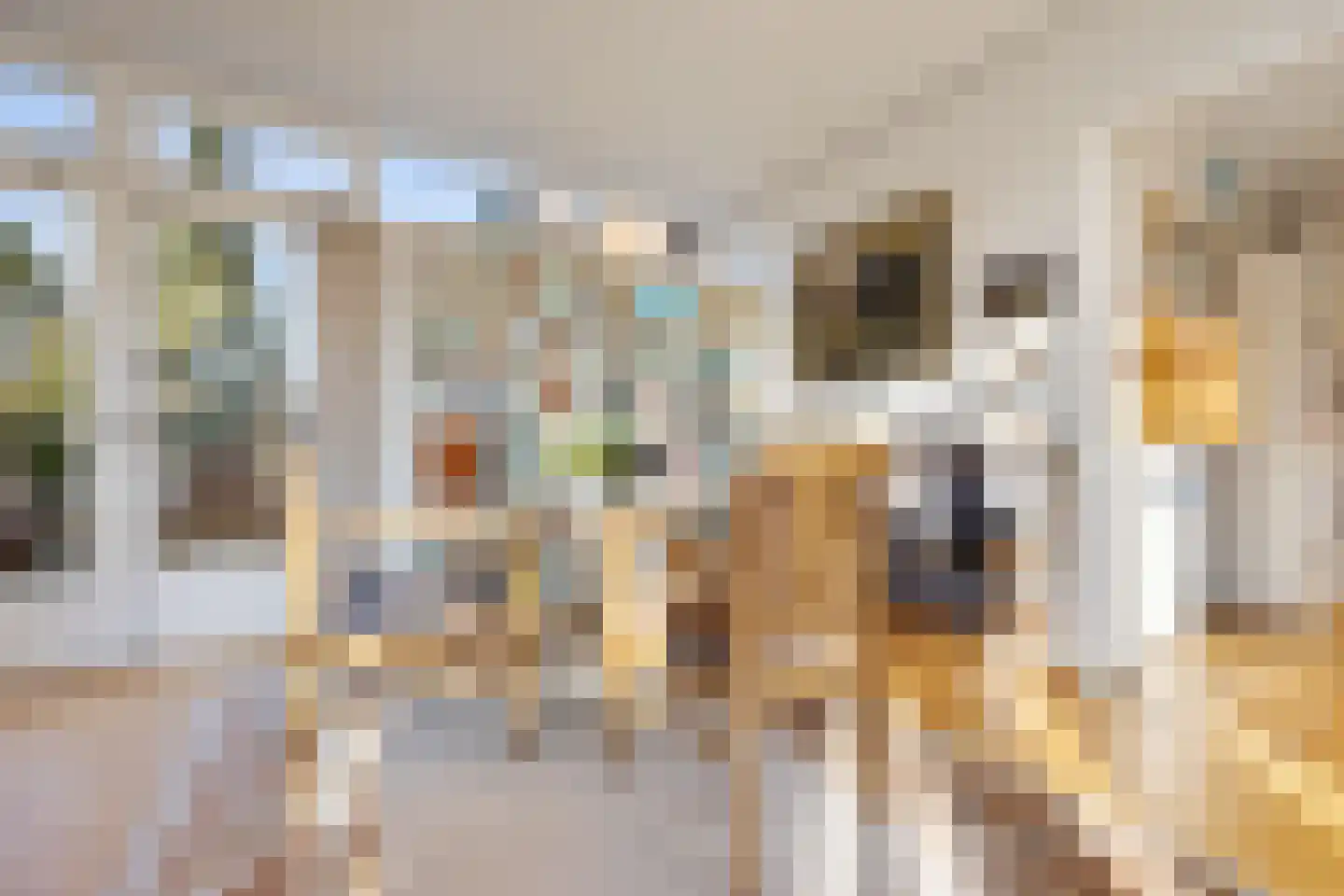 Professor Schlichtingstraat 5 Nijmegen thumbnail 6