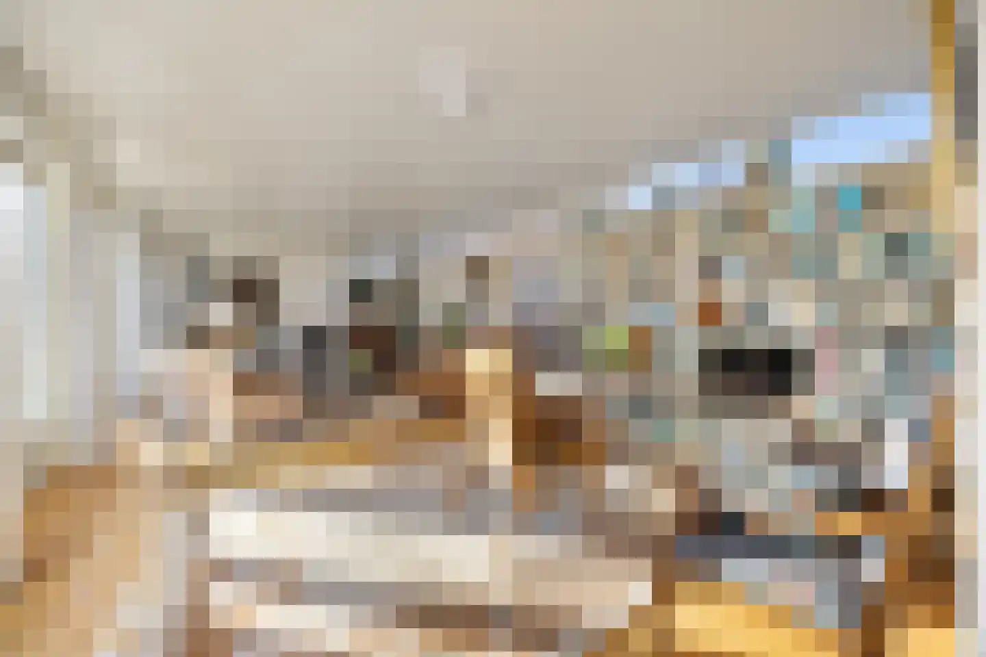 Professor Schlichtingstraat 5 Nijmegen thumbnail 7
