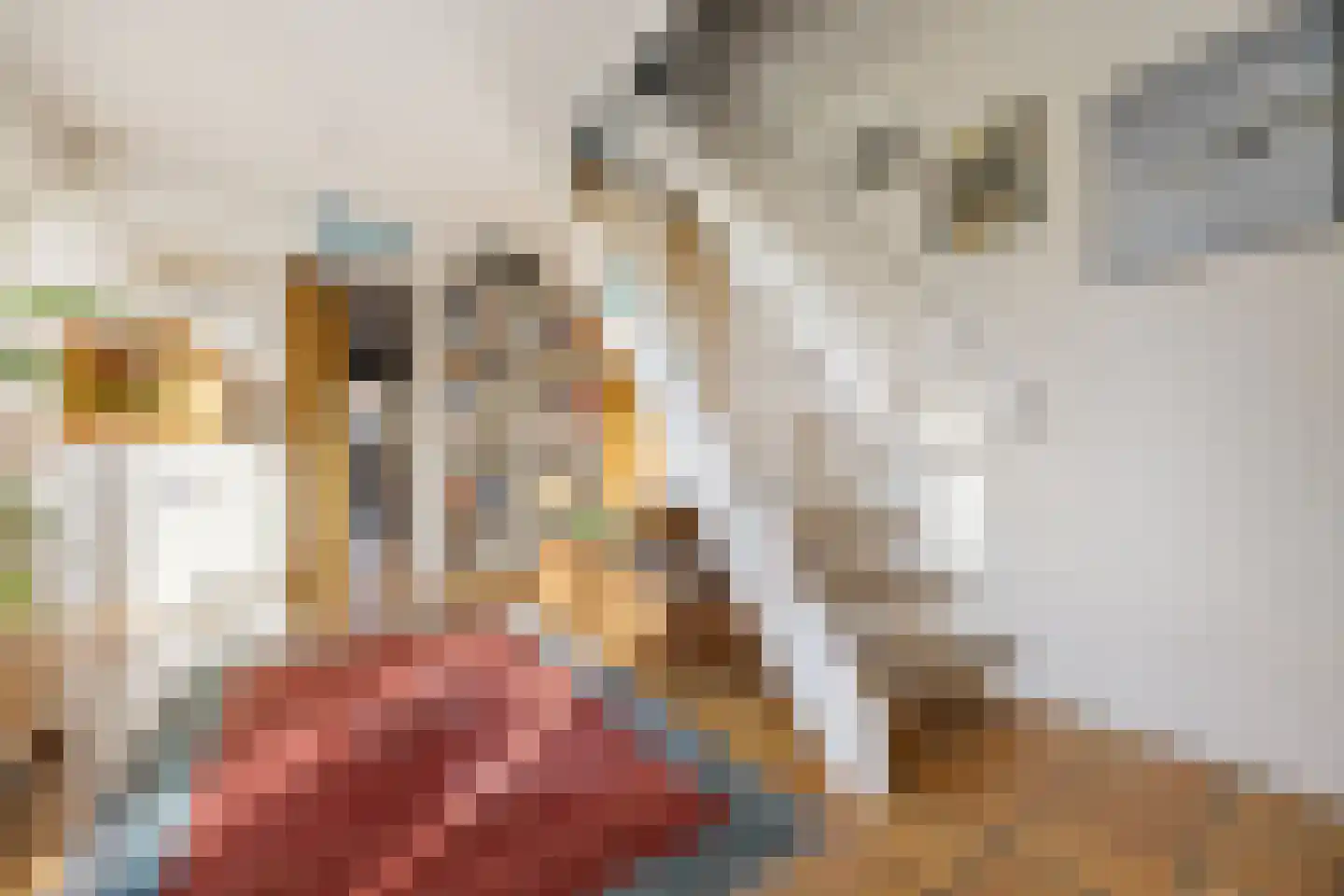 Professor Schlichtingstraat 5 Nijmegen thumbnail 8