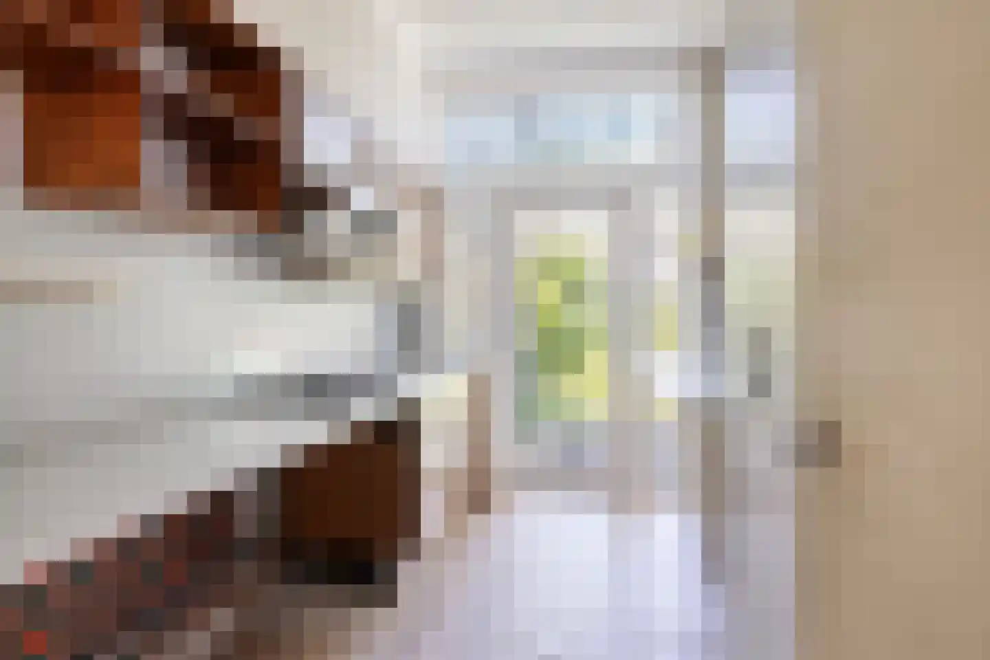 Professor Scholsstraat 38 Maastricht thumbnail 8