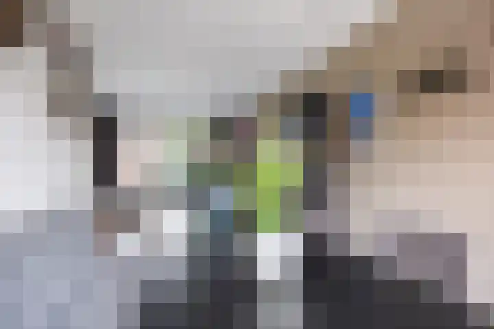Professor Schotanusstraat 15 Franeker thumbnail 11