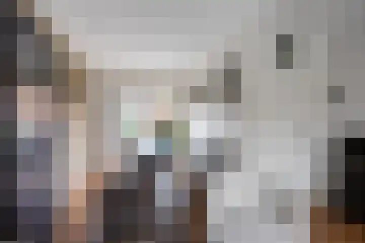 Professor Schotanusstraat 15 Franeker thumbnail 12