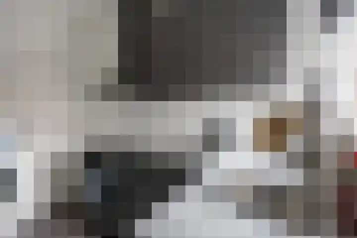Professor Schotanusstraat 15 Franeker thumbnail 13