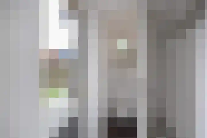 Professor Schotanusstraat 15 Franeker thumbnail 16