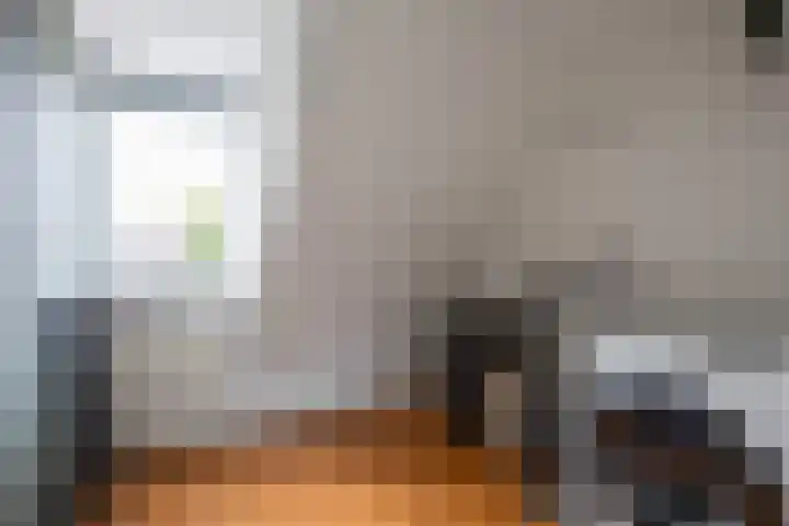 Professor Schotanusstraat 15 Franeker thumbnail 25