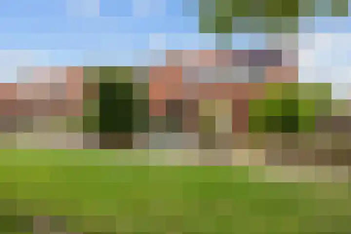 Professor Schotanusstraat 15 Franeker thumbnail 29