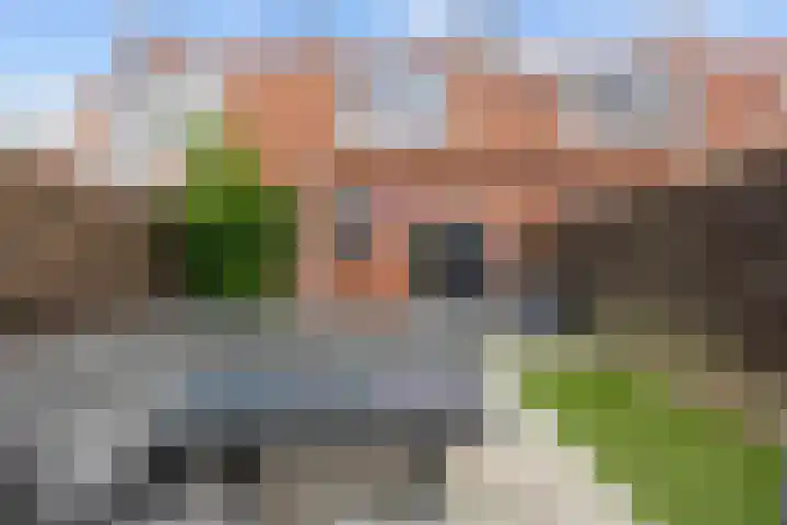 Professor Schotanusstraat 15 Franeker thumbnail 5