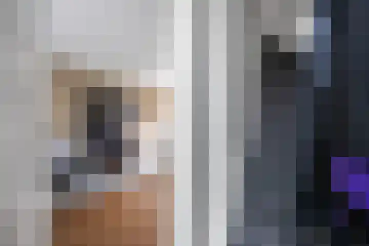 Professor Schotanusstraat 15 Franeker thumbnail 7