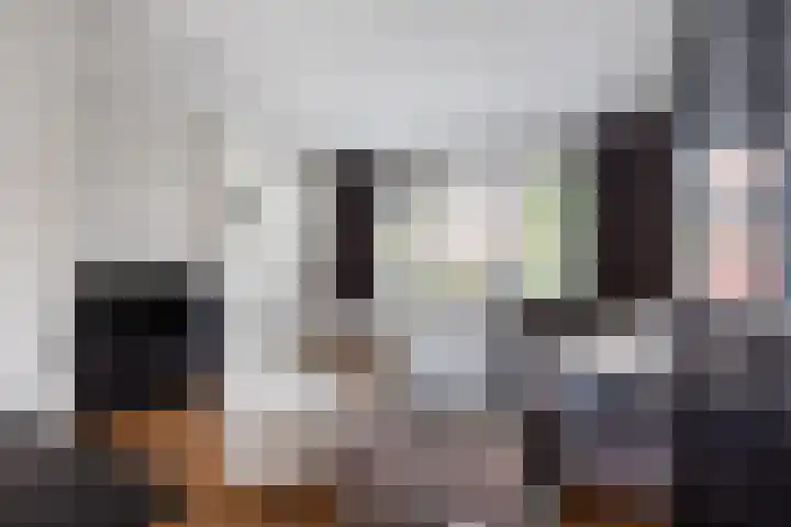 Professor Schotanusstraat 15 Franeker thumbnail 9
