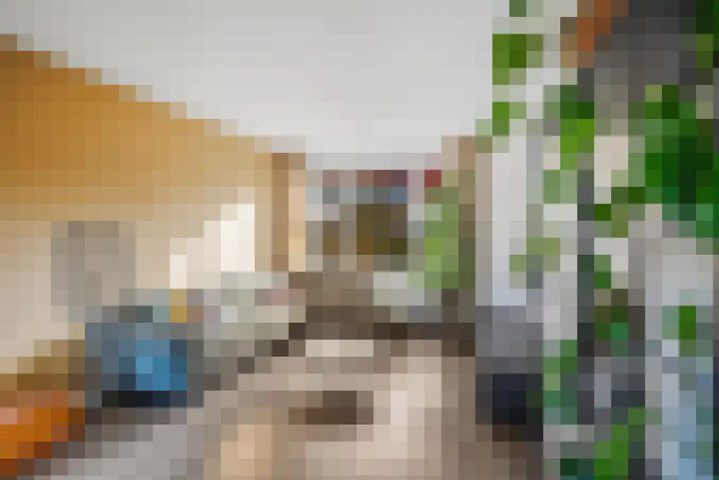 Professor Schotanusstraat 29 Franeker thumbnail 12