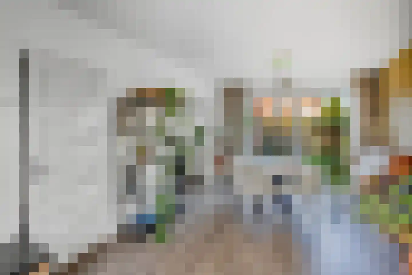 Professor Schotanusstraat 29 Franeker thumbnail 16