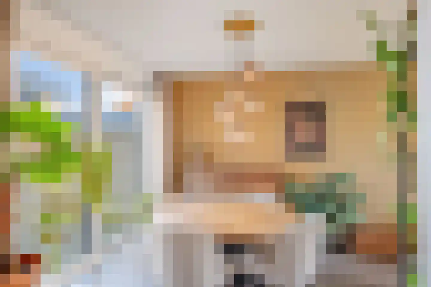 Professor Schotanusstraat 29 Franeker thumbnail 20
