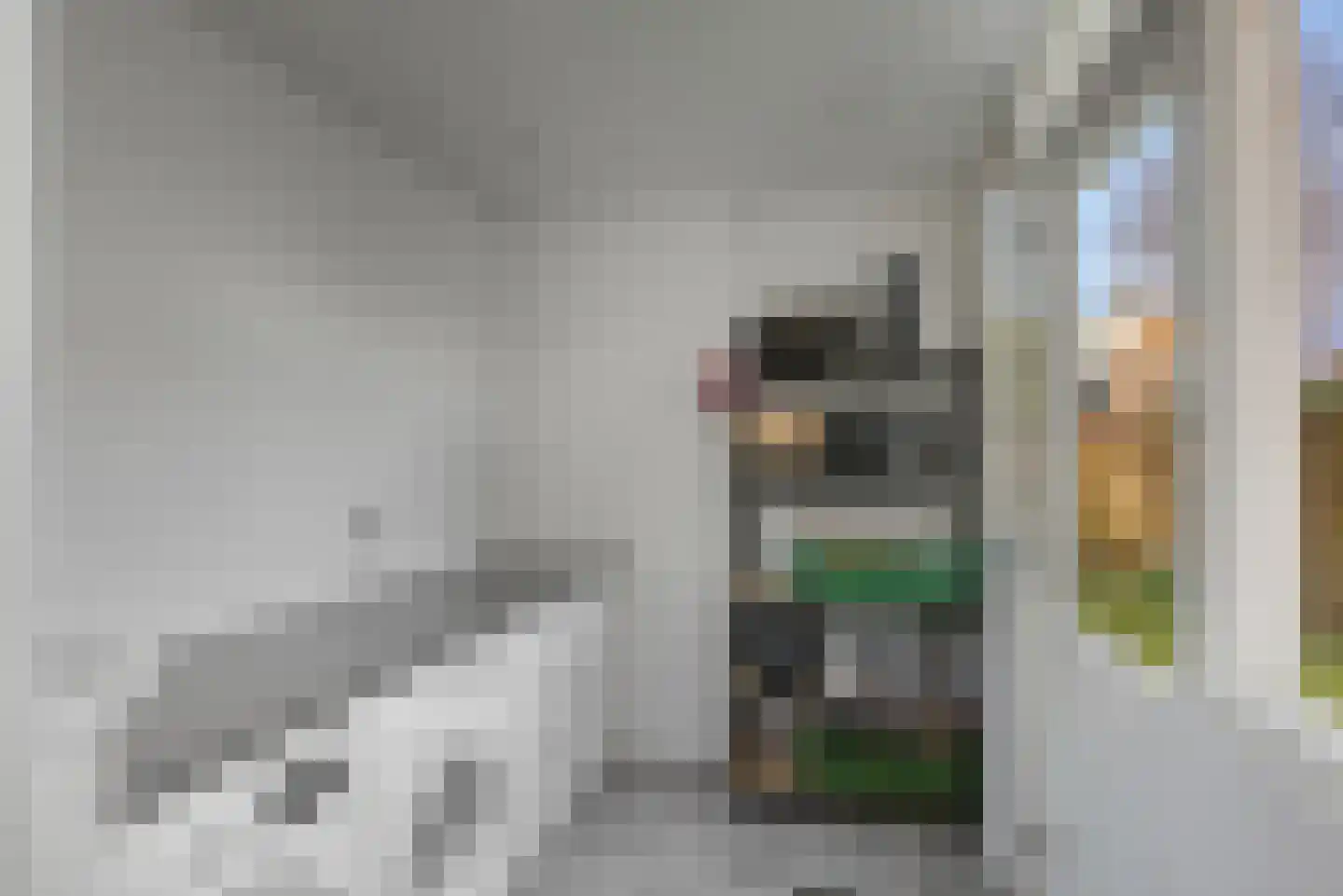 Professor Schotanusstraat 29 Franeker thumbnail 26