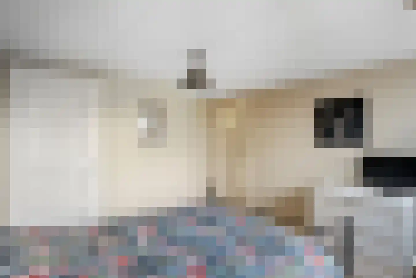 Professor Schotanusstraat 29 Franeker thumbnail 32
