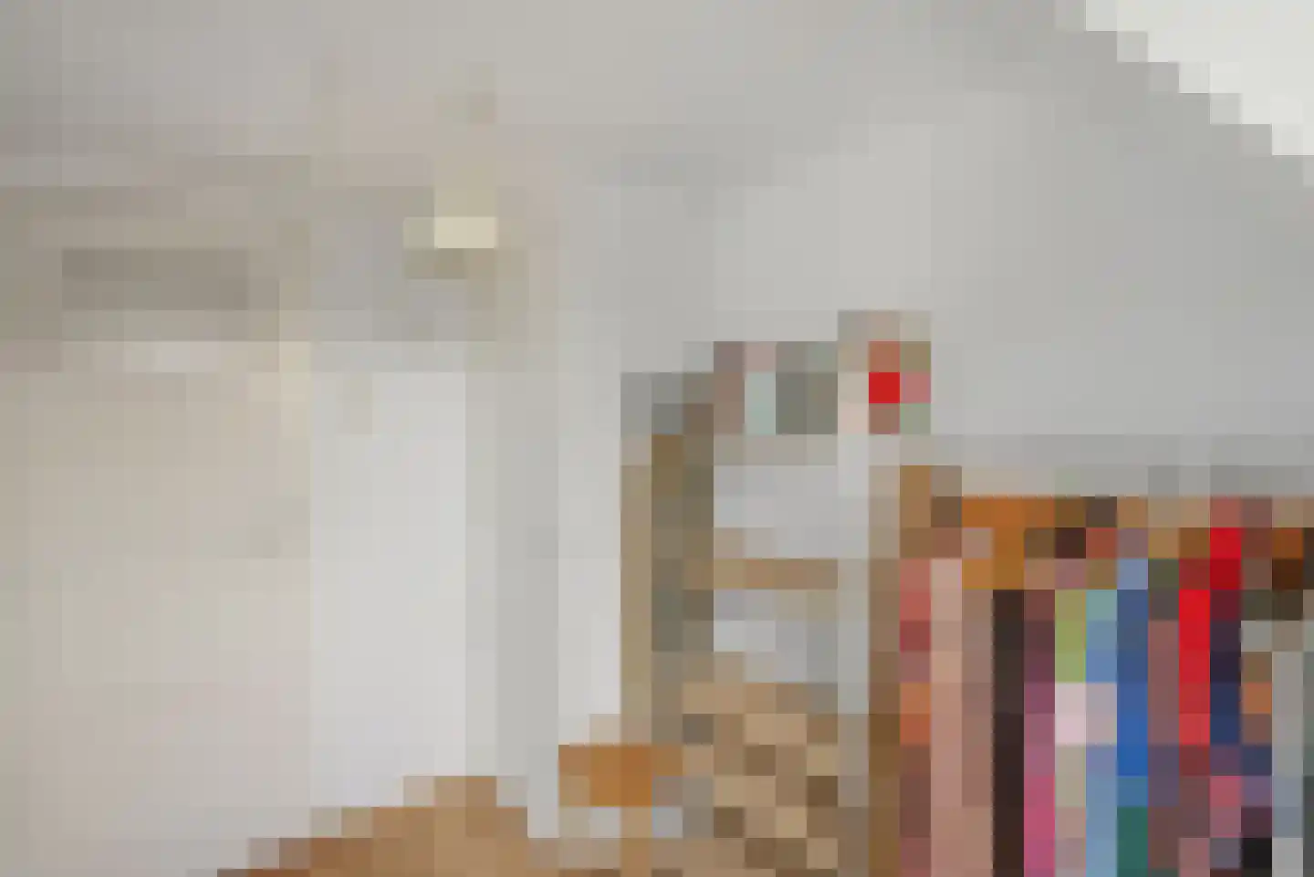 Professor Schotanusstraat 29 Franeker thumbnail 34