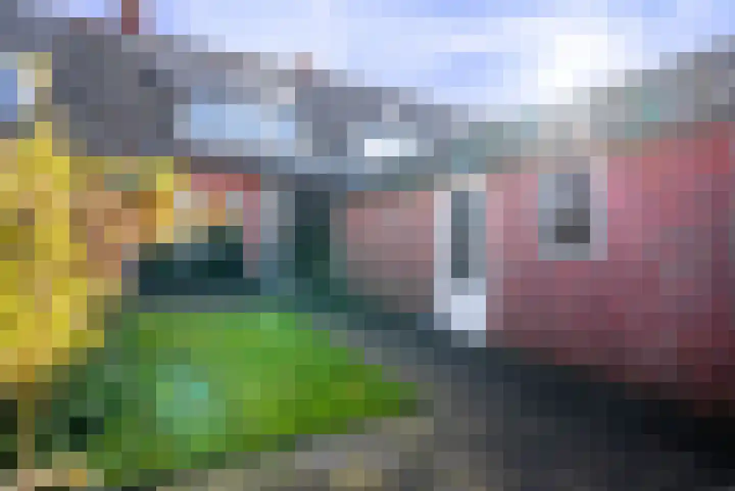 Professor Schotanusstraat 29 Franeker thumbnail 38