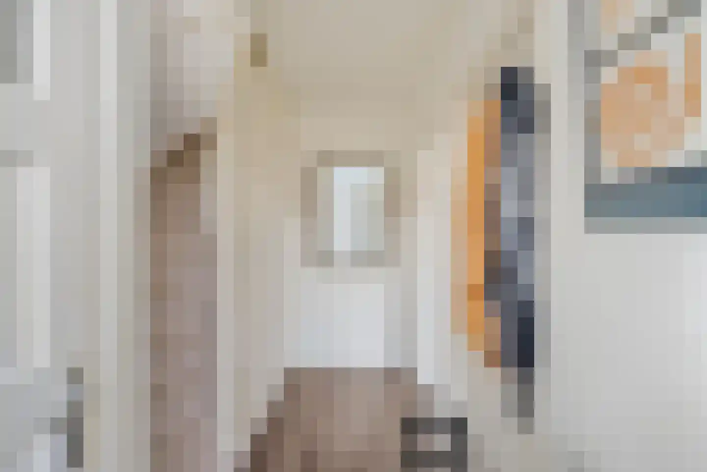 Professor Schotanusstraat 29 Franeker thumbnail 9