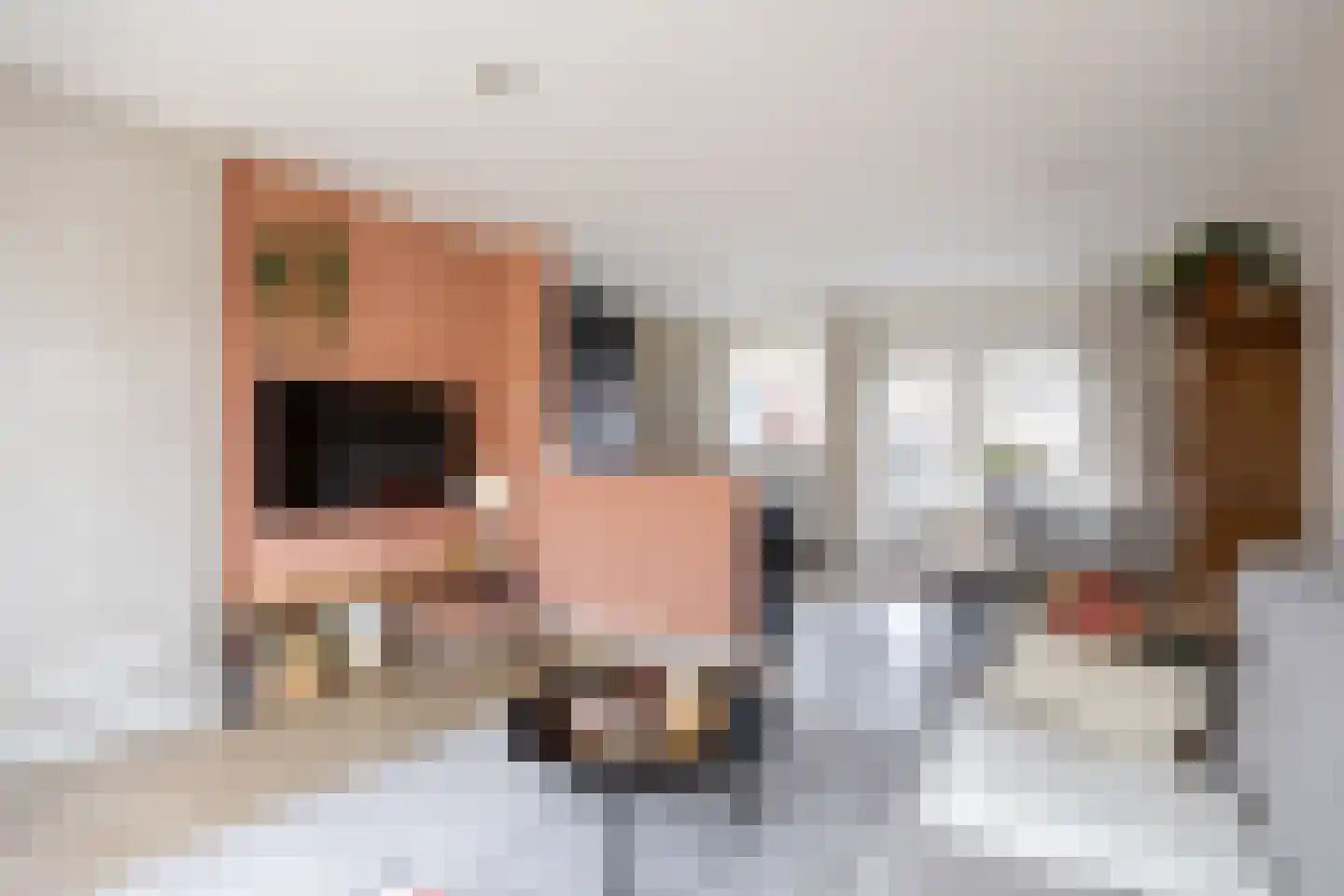 Professor Schotanusstraat 9 Franeker thumbnail 18