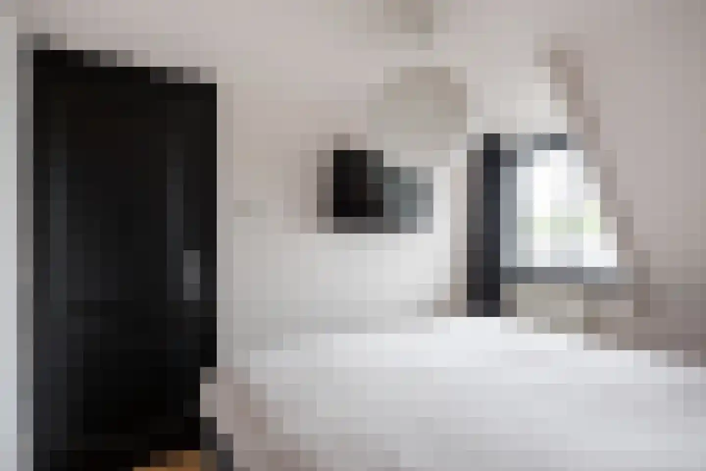 Professor Schotanusstraat 9 Franeker thumbnail 37