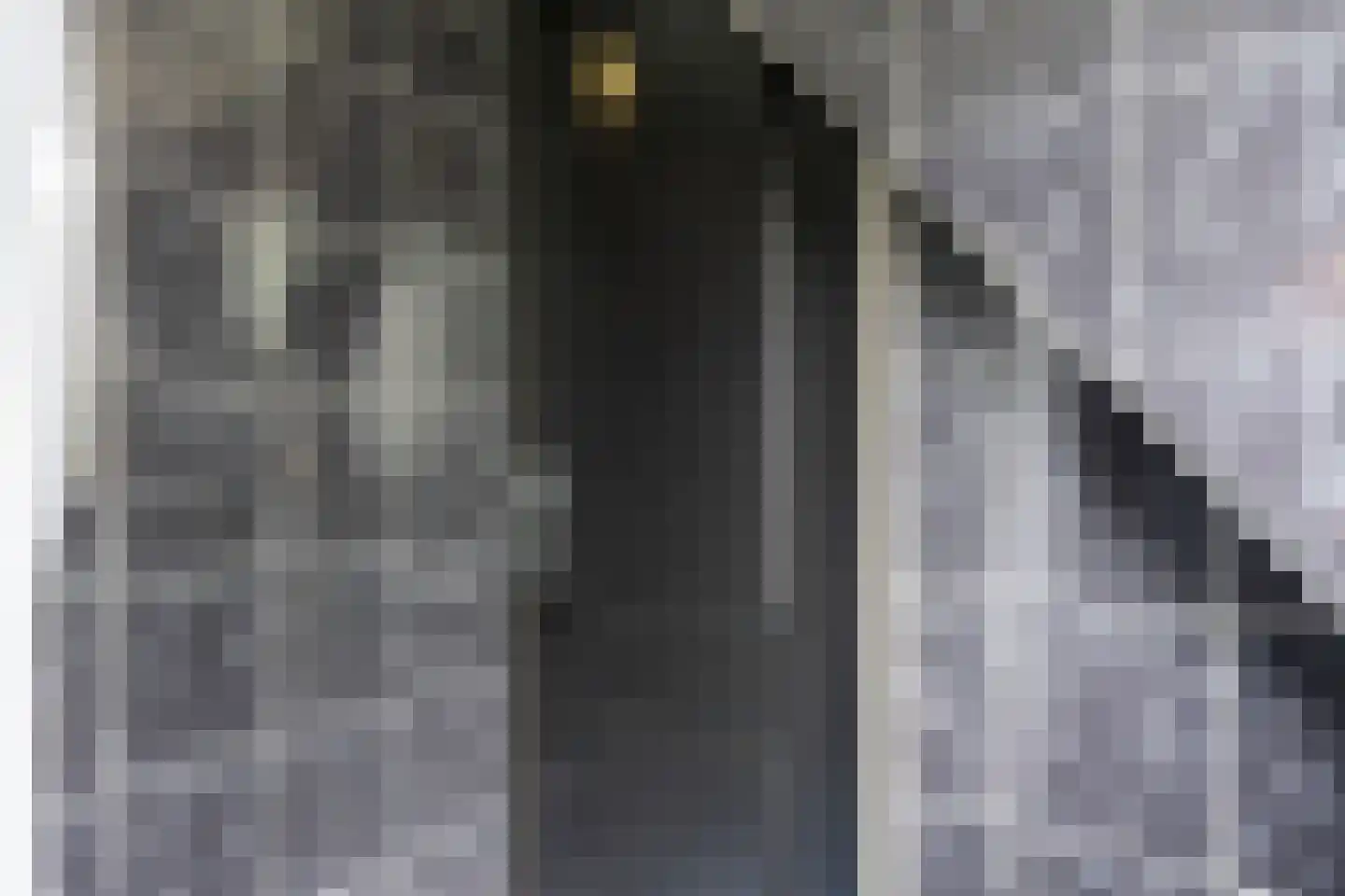 Professor Schotanusstraat 9 Franeker thumbnail 45