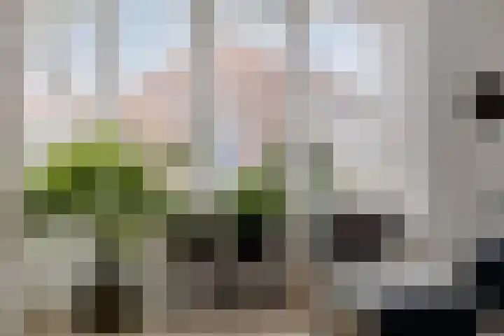 Professor Schreinemakersstraat 29 Roermond thumbnail 10
