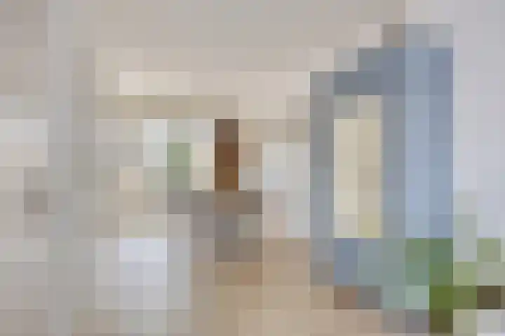 Professor Schreinemakersstraat 29 Roermond thumbnail 13