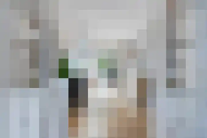 Professor Schreinemakersstraat 33 Roermond thumbnail 12