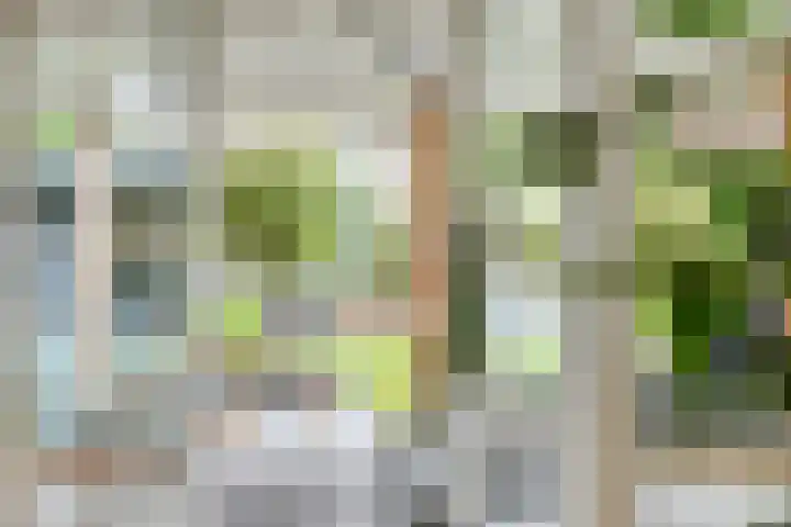 Professor Schreinemakersstraat 33 Roermond thumbnail 21
