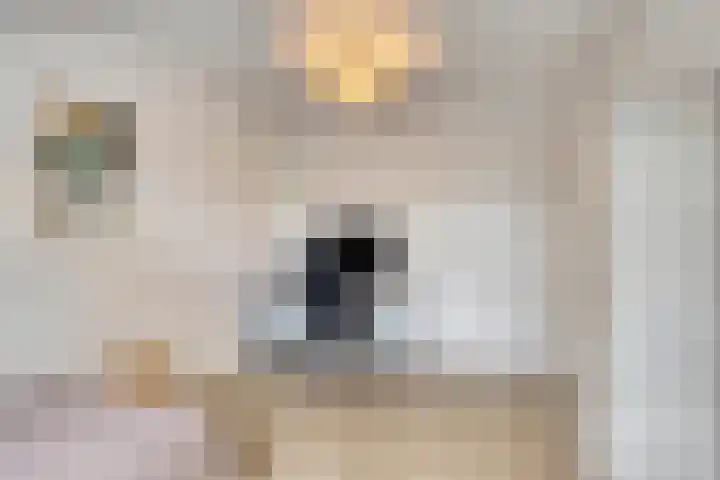 Professor Schreinemakersstraat 33 Roermond thumbnail 39