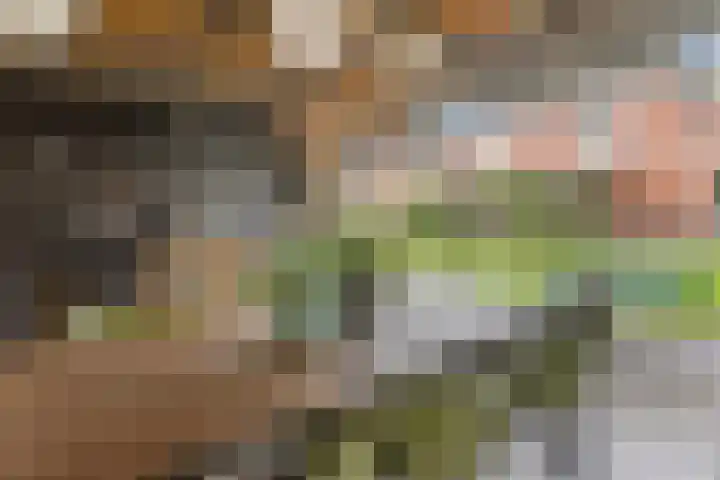 Professor Schreinemakersstraat 33 Roermond thumbnail 45
