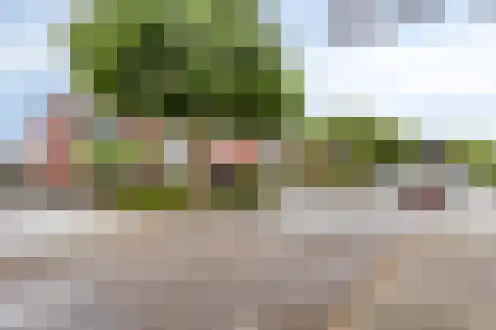 Professor Schreinemakersstraat 33 Roermond thumbnail 49