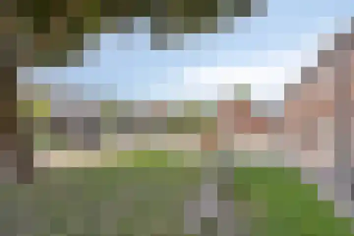 Professor Schreinemakersstraat 33 Roermond thumbnail 51