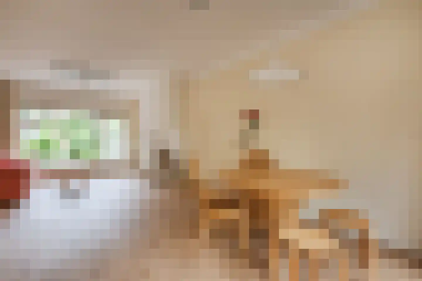 Professor Schrijnenstraat 12 Nijmegen thumbnail 11