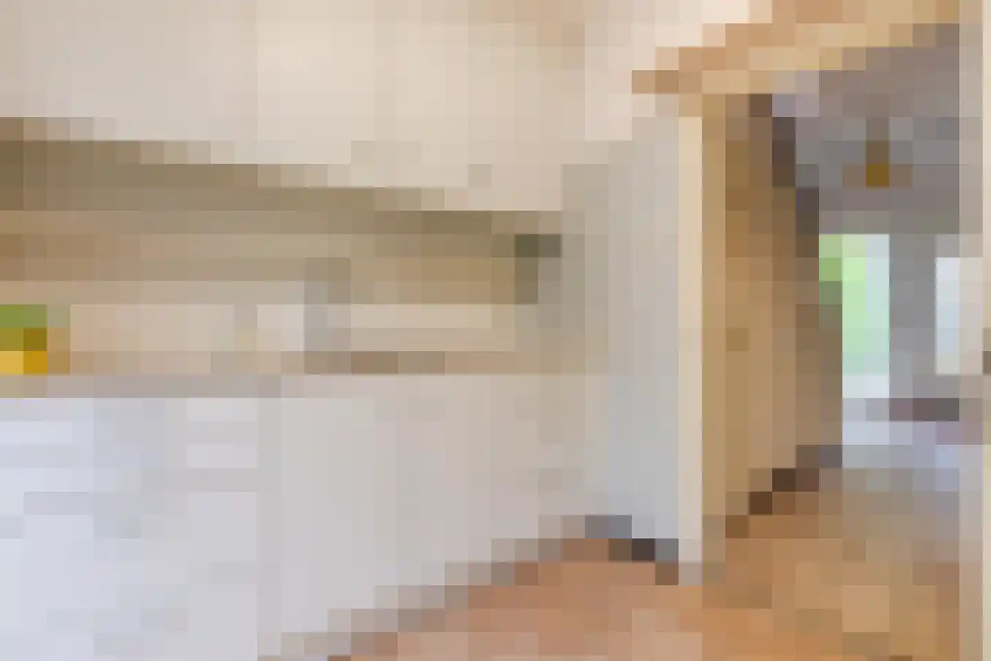 Professor Schrijnenstraat 12 Nijmegen thumbnail 17