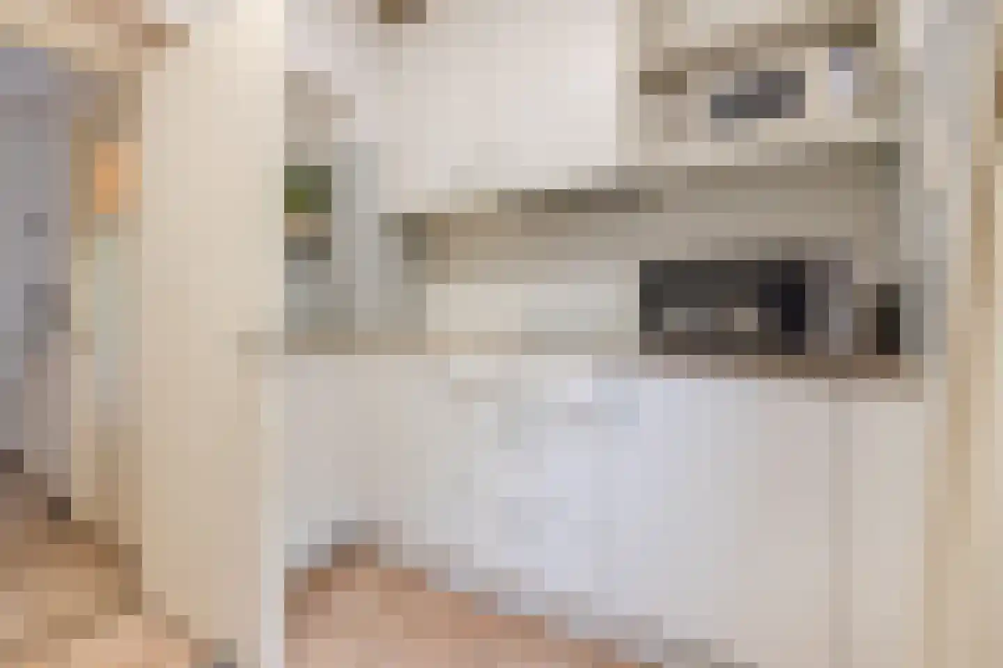 Professor Schrijnenstraat 12 Nijmegen thumbnail 18