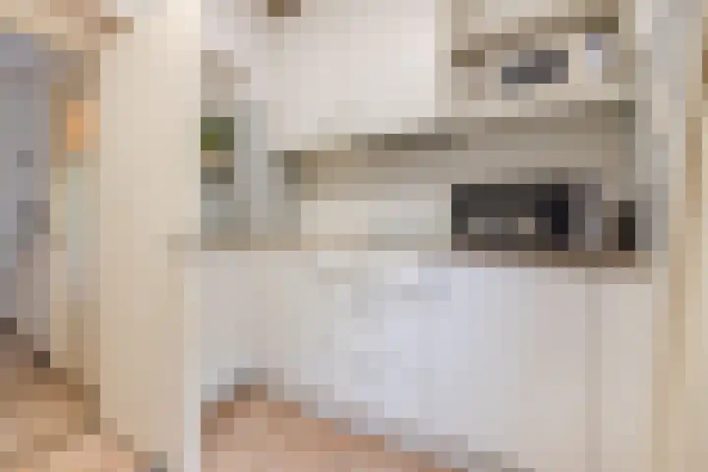 Professor Schrijnenstraat 12 Nijmegen thumbnail 18