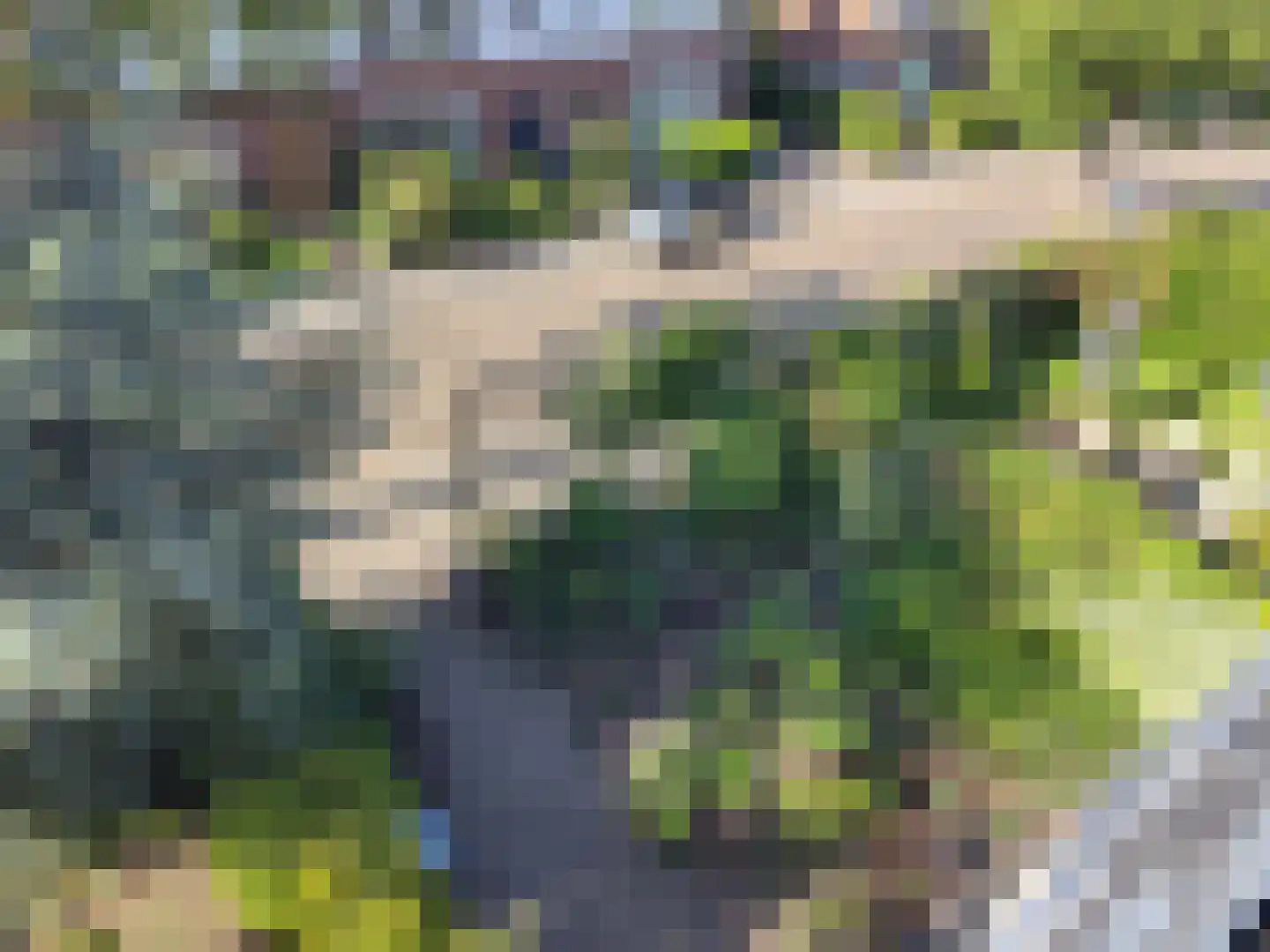 Professor Schrijnenstraat 12 Nijmegen thumbnail 39