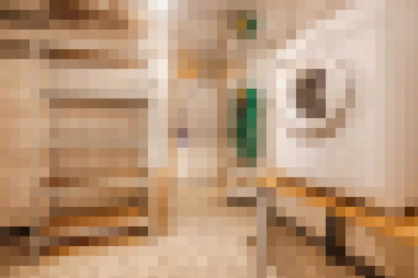 Professor Schrijnenstraat 12 Nijmegen thumbnail 45