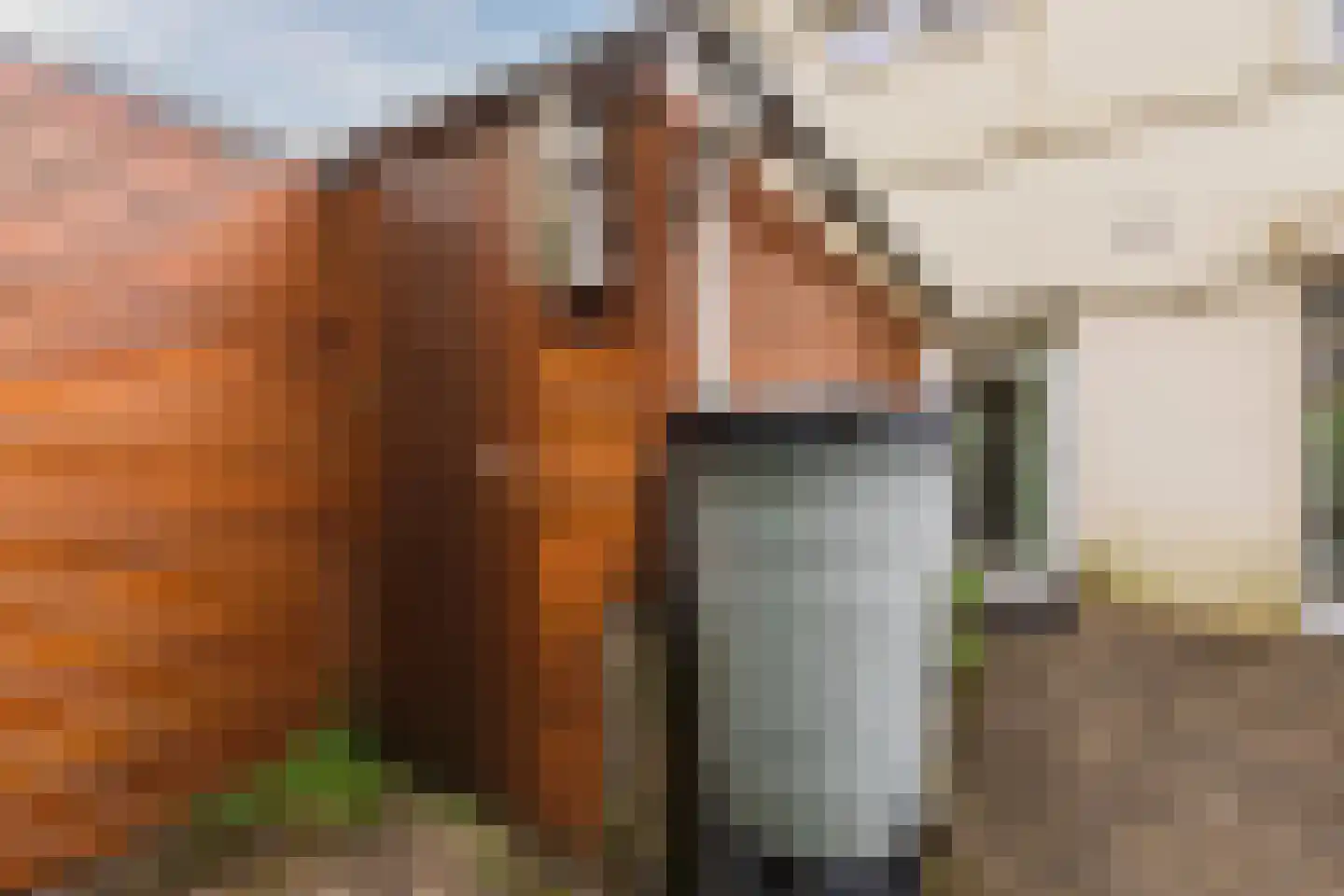 Professor Schrijnenstraat 12 Nijmegen thumbnail 45