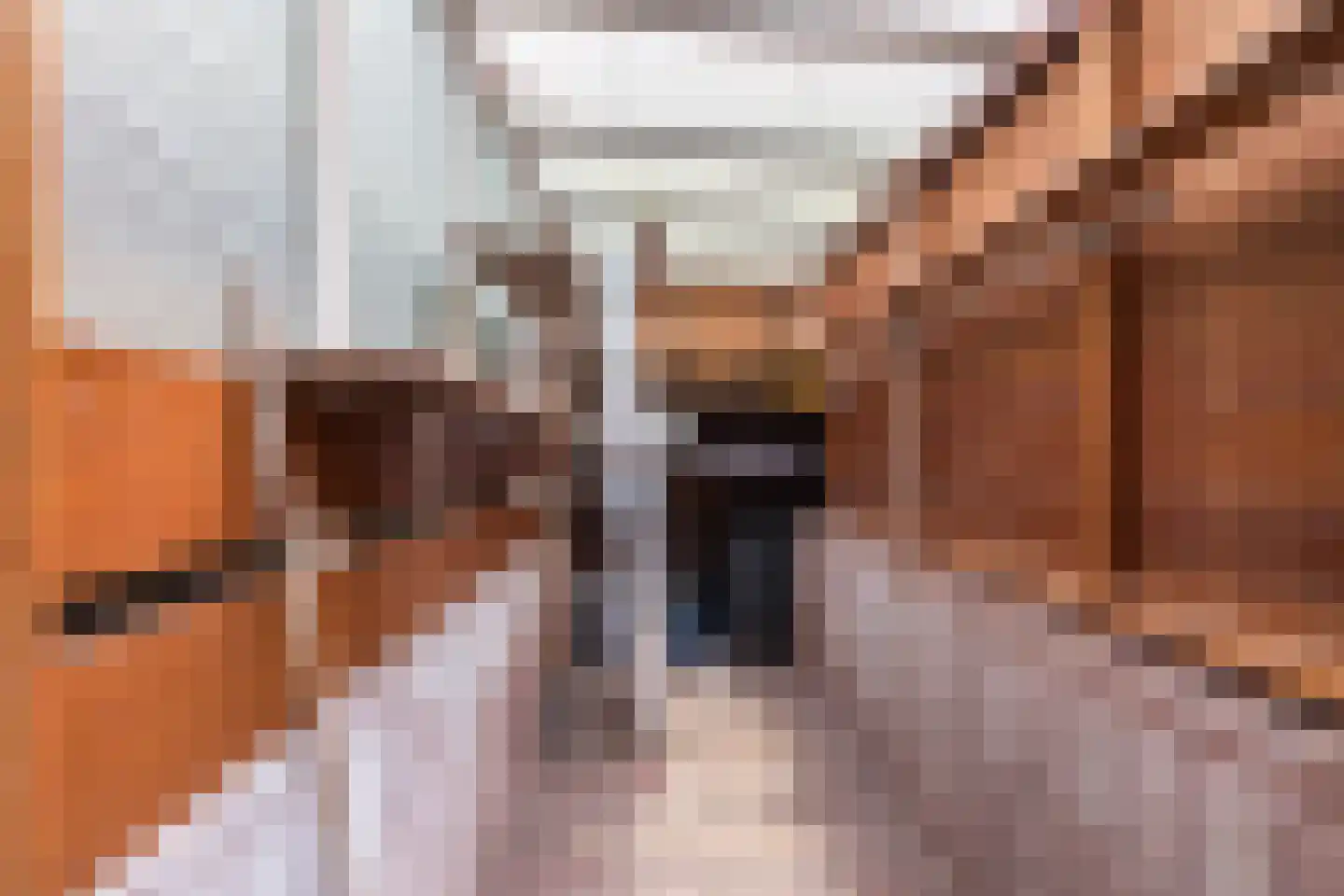 Professor Schrijnenstraat 12 Nijmegen thumbnail 46