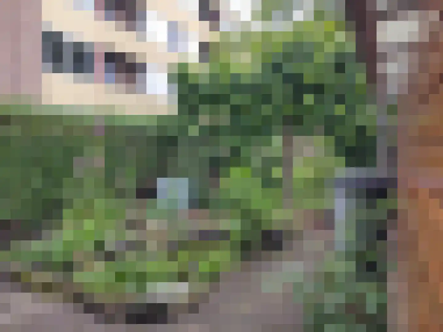 Professor Schrijnenstraat 12 Nijmegen thumbnail 48
