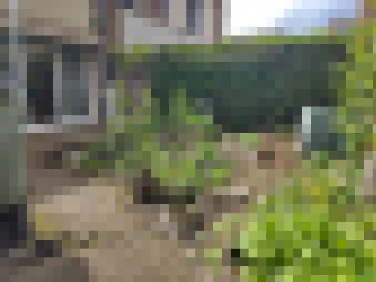Professor Schrijnenstraat 12 Nijmegen thumbnail 50